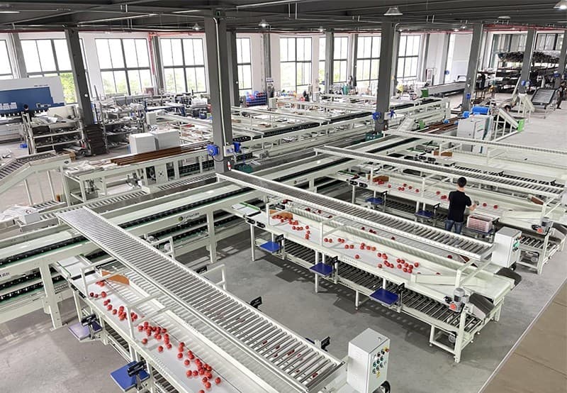 images/1656488278498equipo de clasificación de tomate.jpg